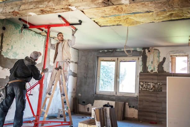 Best Insulation Materials and Products in Lewisburg, KY